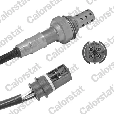 Oxygen Sensor